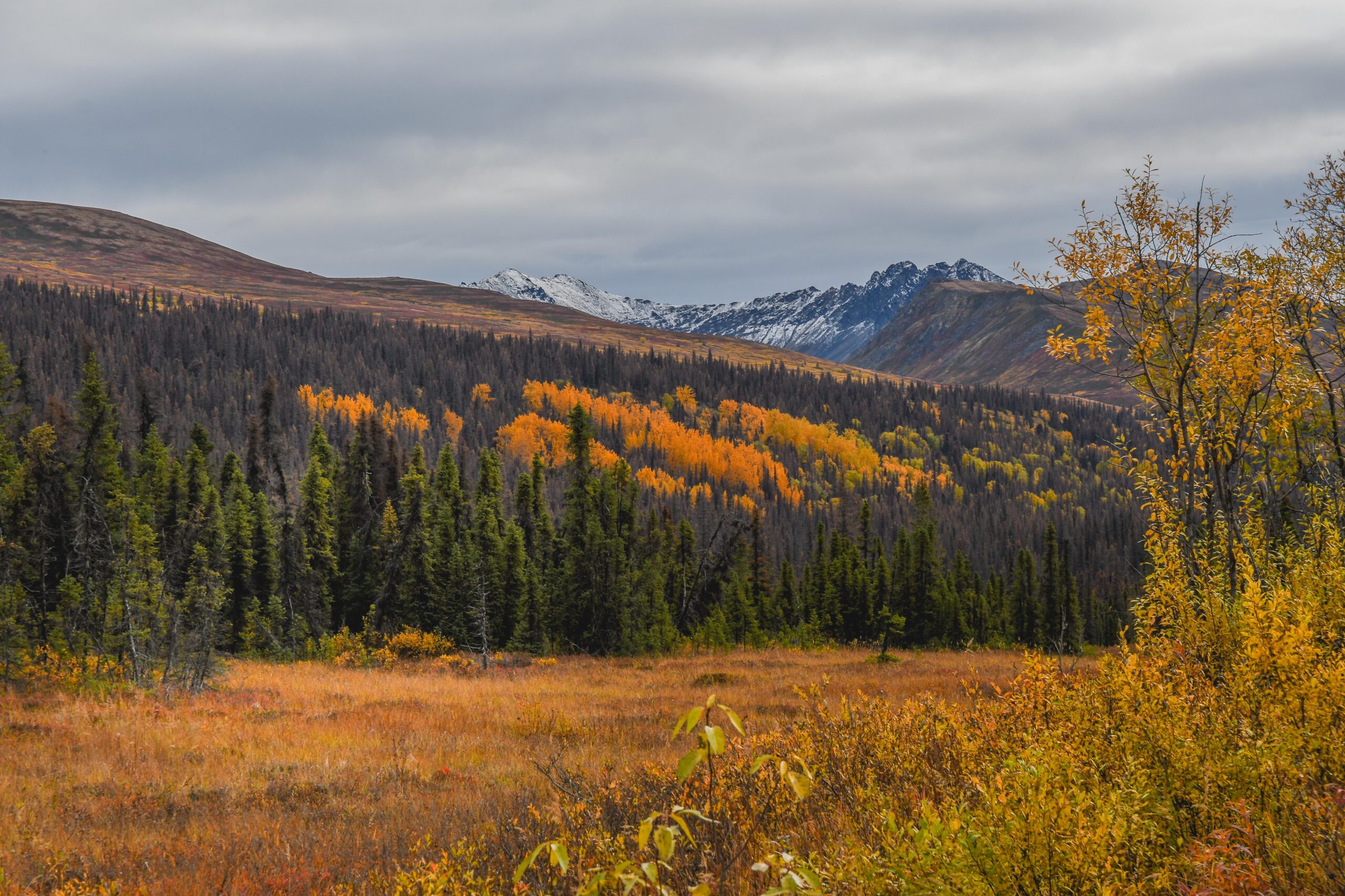 Alaskan Fall Colors